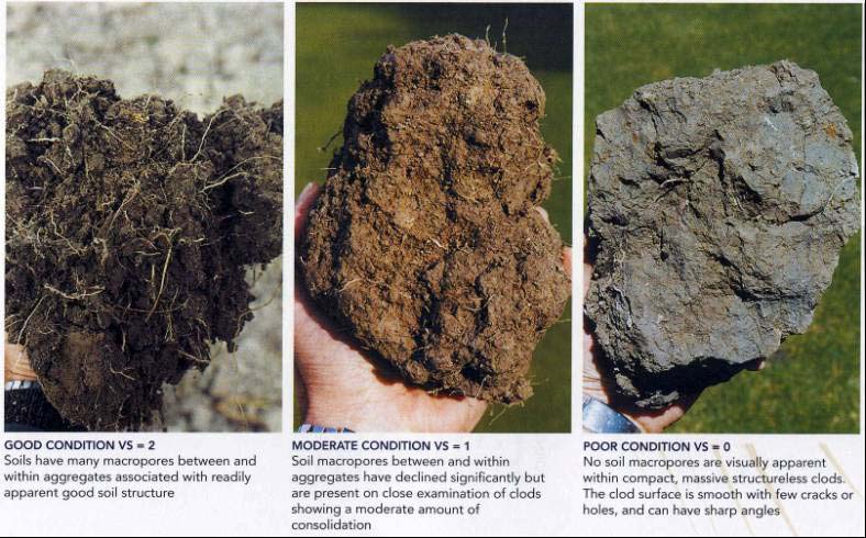 blocky soil structure picture
